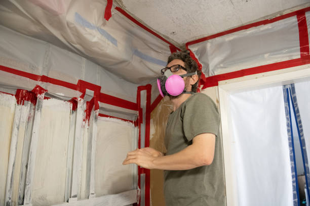 Biohazard Mold Removal in Westover, WV